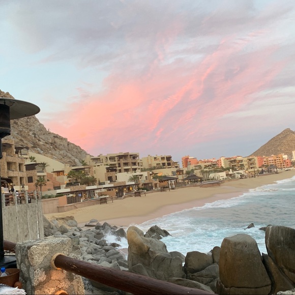 Meet your Posher, Sophie - Picture 1 of 1